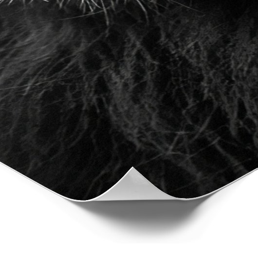 Lion weet wie je bent poster (Hoek)