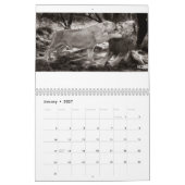 Lion Whisperer 2017 Agenda Kalender (Jan 2027)