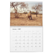 Lion Whisperer 2017 Agenda Kalender (Jan 2027)