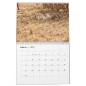 Lion Whisperer 2017 Agenda Kalender (Feb 2027)