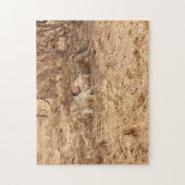 Lion Whisperer Puzzle met Gift Bag Legpuzzel (Verticaal)