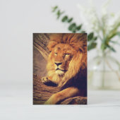 Lion Wildlife Africa Briefkaart (Staand voorkant)