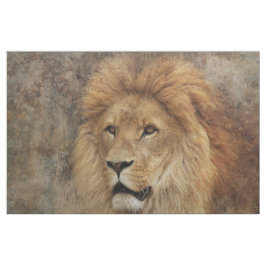 Lion Wildlife Africa Natuur Stof