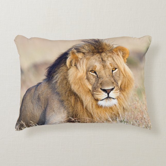 Lion wildlife fotografie safari Afrika Accent Kussen (Voorkant)
