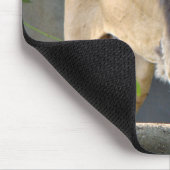 Lion Wildlife Mousepad Muismat (Hoek)