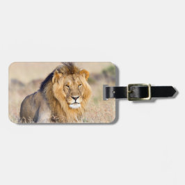 Lion wildlife photografie Africa Safari animal Bagagelabel