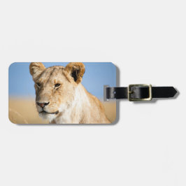 Lion wildlife photografie Africa Safari animal Bagagelabel