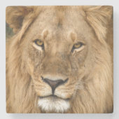 Lion With Great Mane Stenen Onderzetter (Voorkant)