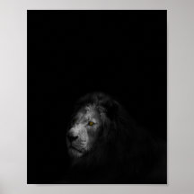 Lion-, zwarte en witte foto,
