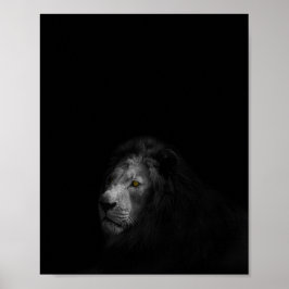 Lion-, zwarte en witte foto, poster