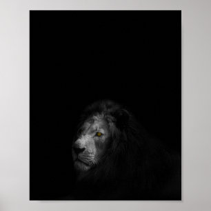 Lion-, zwarte en witte foto, poster