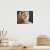 Lionafdrukken Poster (Keuken)