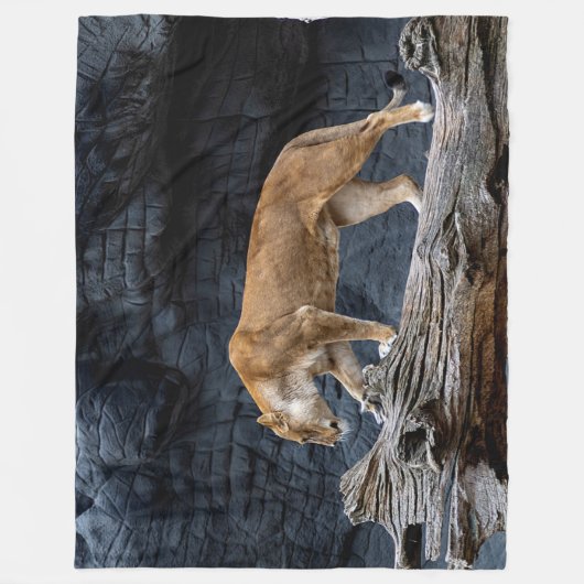 LIONATIE FLEECE DEKEN (Voorkant)