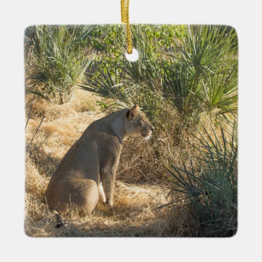 LIONATIE KERAMISCH ORNAMENT (Voorkant)