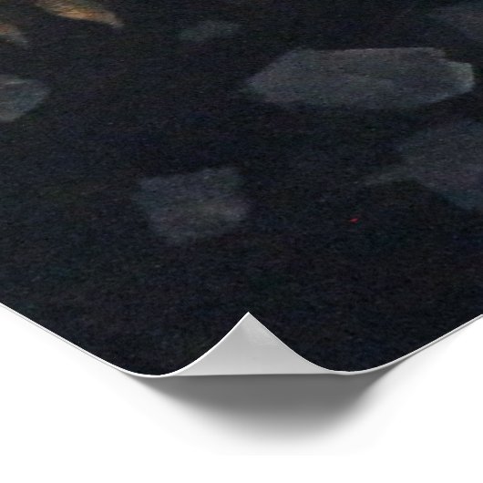 LIONATIE POSTER (Hoek)