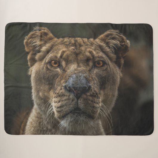 LIONATIE SHERPA DEKEN (Voorkant (horizontaal))