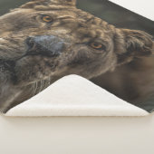 LIONATIE SHERPA DEKEN (3/4)
