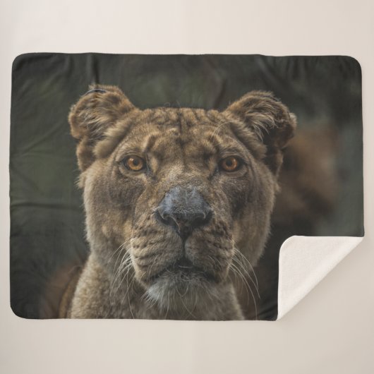 LIONATIE SHERPA DEKEN (Voorkant (horizontaal))