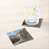 Lionbeeld voor San Francesco di Paola Kartonnen Onderzetters (Insitu)