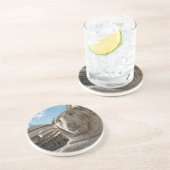 Lionbeeld voor San Francesco di Paola Zandsteen Onderzetter (Zijkant)