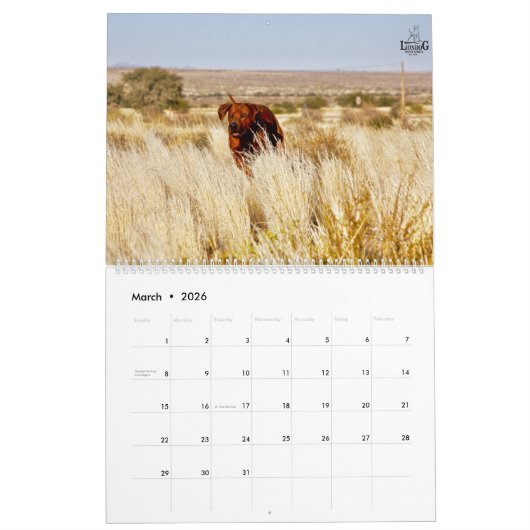 Liondog - Rhodesian Ridgeback Calendar 2018 Kalender (Mar 2026)
