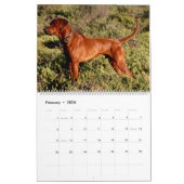 Liondog - Rhodesian Ridgeback Calendar 2018 Kalender (Feb 2026)