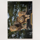 Lionen die op de bovenkant van de safari-auto koel legpuzzel (Verticaal)