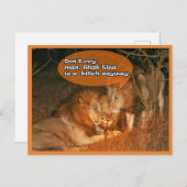 Lionen die troosten briefkaart (Voorkant / Achterkant)