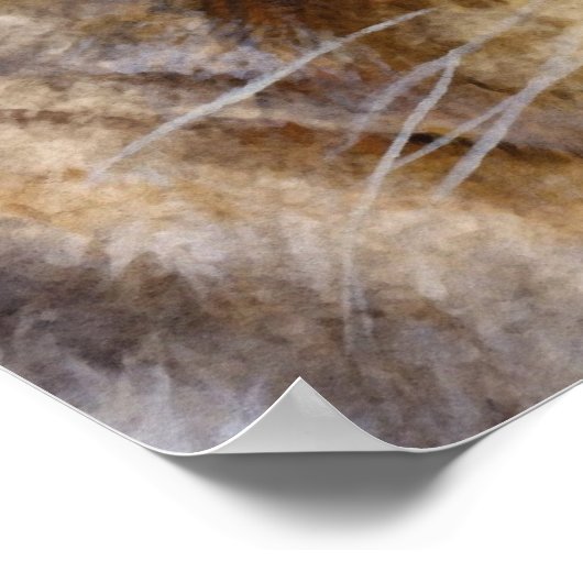 Lionen hebben een mooi poster (Hoek)