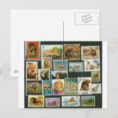 Lionen op postzegels briefkaart (Voorkant / Achterkant)