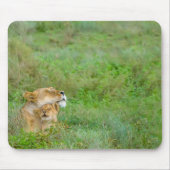 Lioness & Baby Mousepad Muismat (Voorkant)