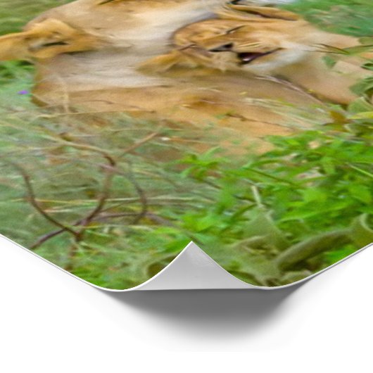 Lioness & Baby Poster (Hoek)