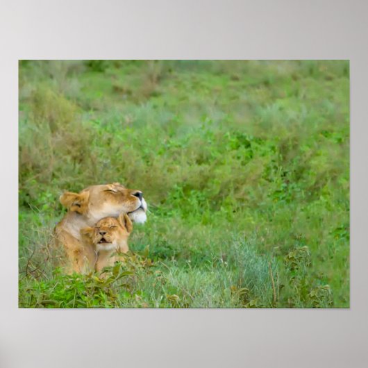 Lioness & Baby Poster (Voorkant)