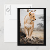 lioness briefkaart (Voorkant / Achterkant)