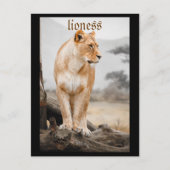 lioness briefkaart (Voorkant)