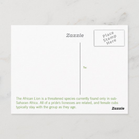 Lioness Briefkaart (Achterkant)