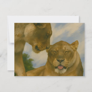 Lioness Companship in het Gouden Licht Briefkaart