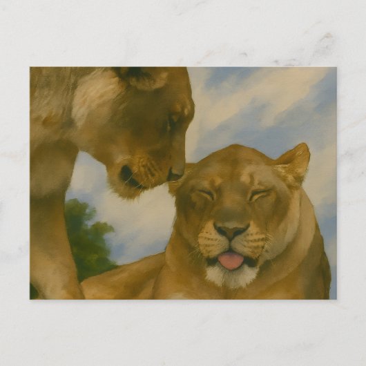 Lioness Companship in het Gouden Licht Briefkaart (Voorkant)