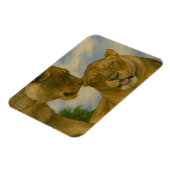 Lioness Companship in het Gouden Licht Magneet (Linkerzijde)