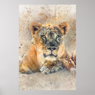 Lioness fotografie Moderne Waterverf Poster