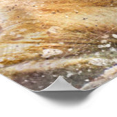 Lioness fotografie Moderne Waterverf Poster (Hoek)