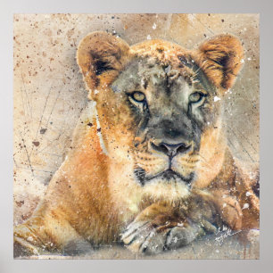 Lioness fotografie Moderne Waterverf Poster