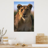 Lioness Lovers Poster (Keuken)