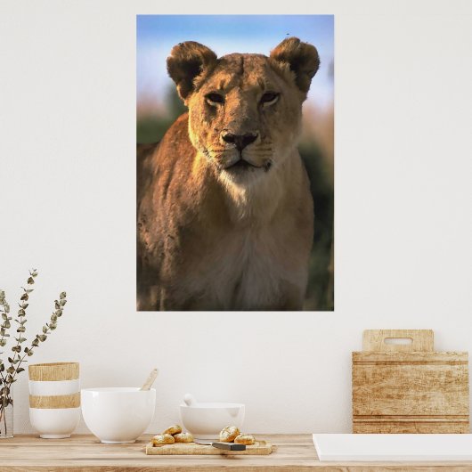 Lioness Lovers Poster (Keuken)