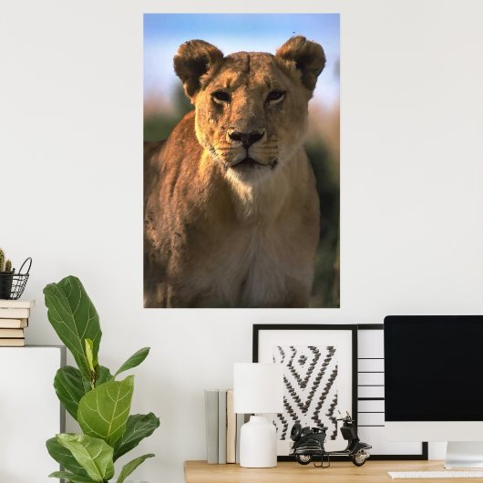 Lioness Lovers Poster (Thuiskantoor)