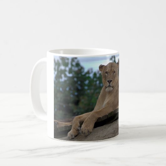 Lioness Mok (Voorkant links)