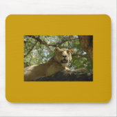 Lioness Mousepad Muismat (Voorkant)