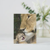 Lioness & Newborn Briefkaart (Staand voorkant)