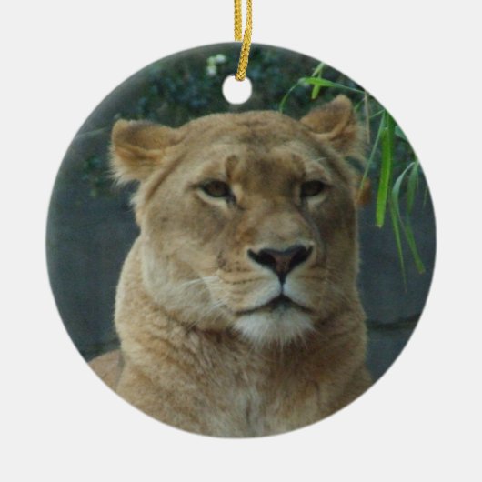 Lioness Ornament (Voorkant)