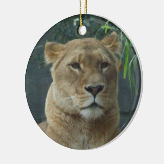 Lioness Ornament (Links)